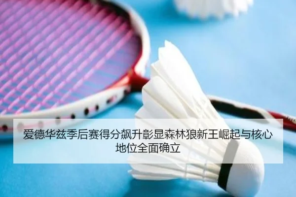 爱德华兹季后赛得分飙升彰显森林狼新王崛起与核心地位全面确立