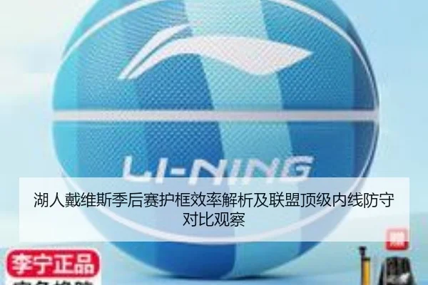 湖人戴维斯季后赛护框效率解析及联盟顶级内线防守对比观察