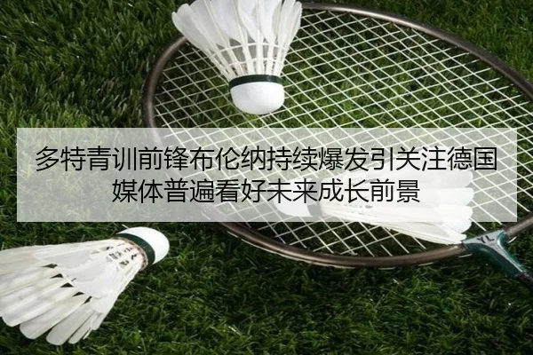 多特青训前锋布伦纳持续爆发引关注德国媒体普遍看好未来成长前景